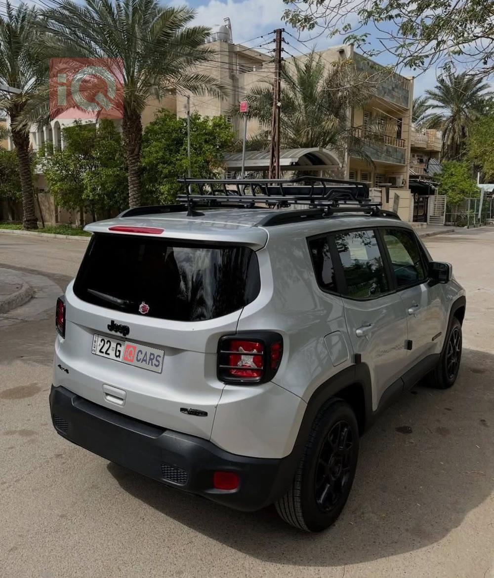 جيب رينيجيد